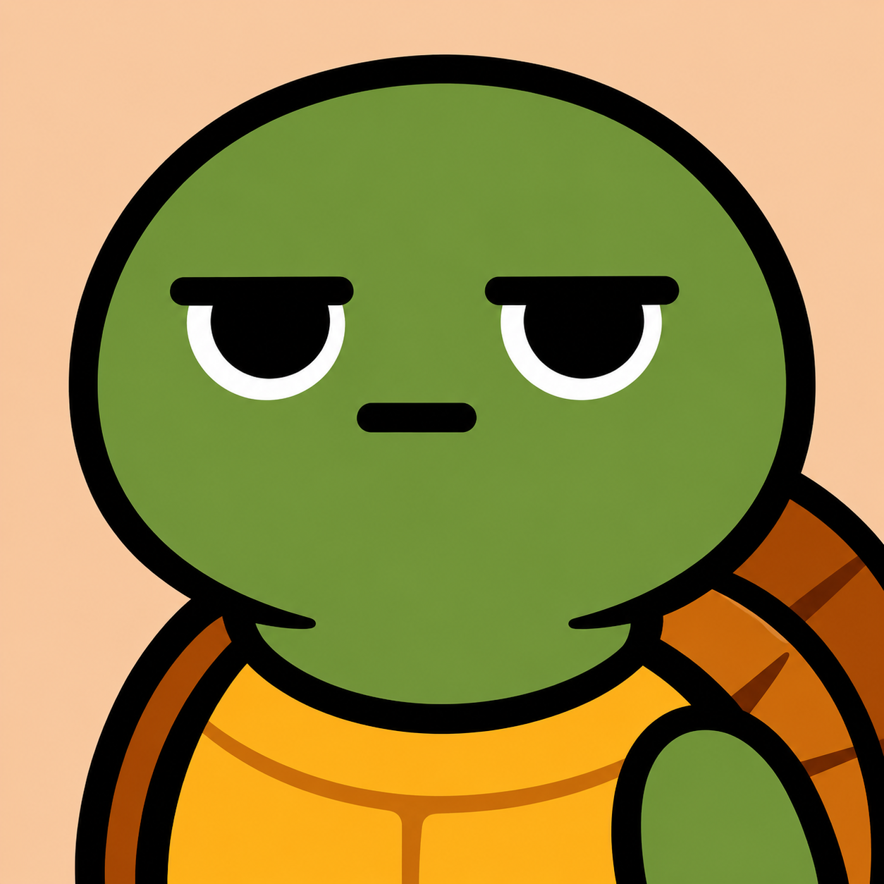 The Mister Turtle