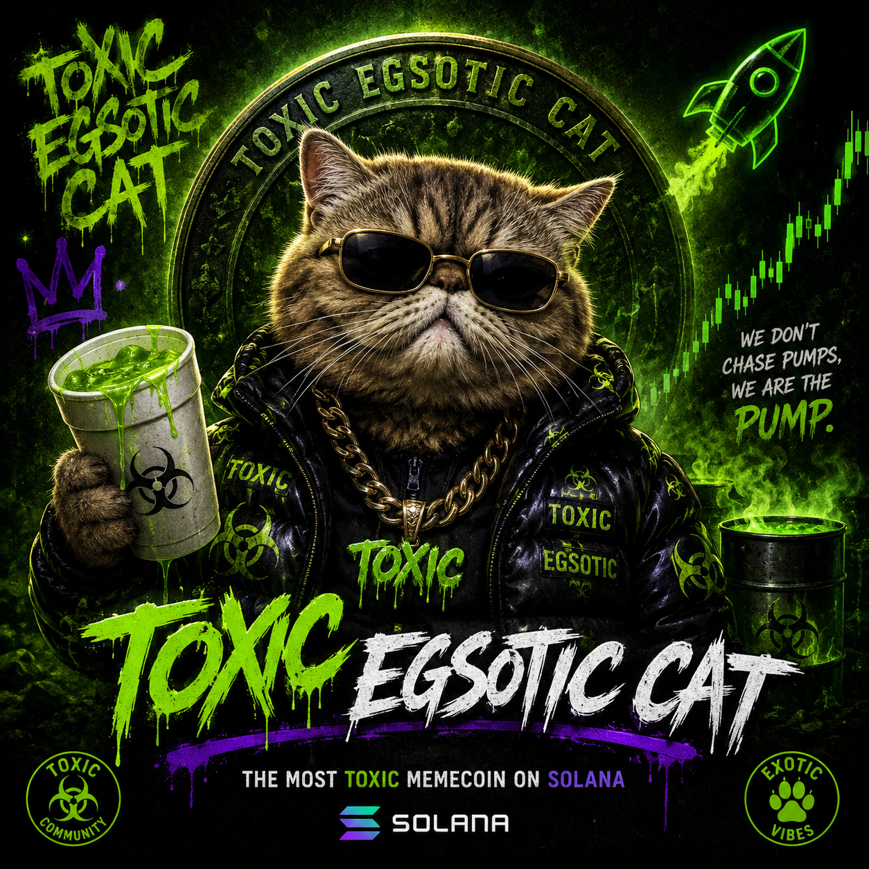 Toxic egsotic cat